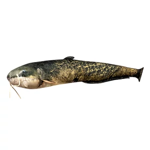 Energofish Halas párna / Lesőharcsa (nagy)