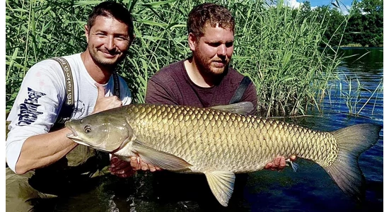 III. Mr. Minden bojlis kupa - KOI-2 Horgásztó