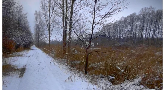 Februári rekord döntés a Keleti-főcsatornán