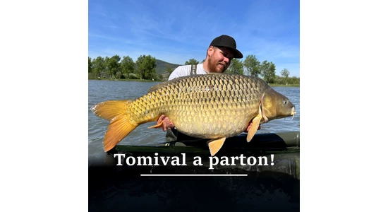 Tomival a parton!