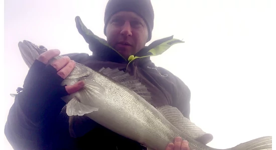 ...De hogyan is kezdje az ember?...