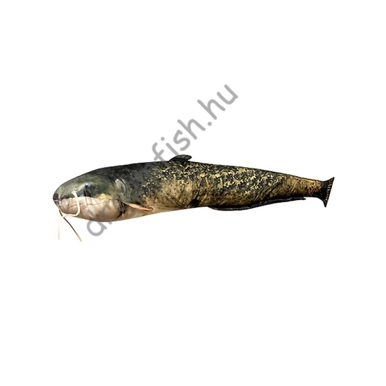 Energofish Halas párna / Lesőharcsa
