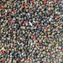 Kép 4/4 - Bait Maker Team Rapid Pellet Box / Fűszer aromával 400g+150ml