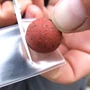 Kép 2/4 - Gardner Hard Ball Bait Saver / Csali védőfólia