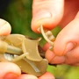 Kép 3/6 - Guru Method Feeder Clip