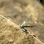 Kép 4/5 - Guru Feeder Link Super Fine / Szerelék gubancgátló