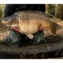 Kép 2/6 - Korda Compac Hybrid Mat Olive / Nagy méretű pontymatrac