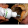 Kép 4/5 - Korda Carp Care Kit / Sebfertőtlenítő szett