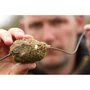 Kép 6/6 - Korda Bait Up / Method feeder kosár