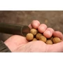 Kép 3/3 - Korda Eazi Stick 20mm / Dobócső