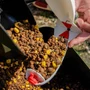 Kép 4/4 - Spomb Large-X - White / Etetőrakéta Fehér